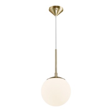 Nordlux - Żyrandol na lince GRANT 1xE14/15W/230V śr. 15 cm