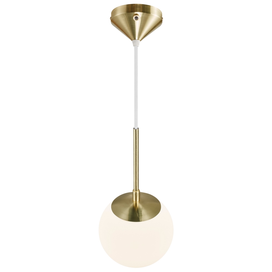 Nordlux - Żyrandol na lince GRANT 1xE14/15W/230V śr. 15 cm