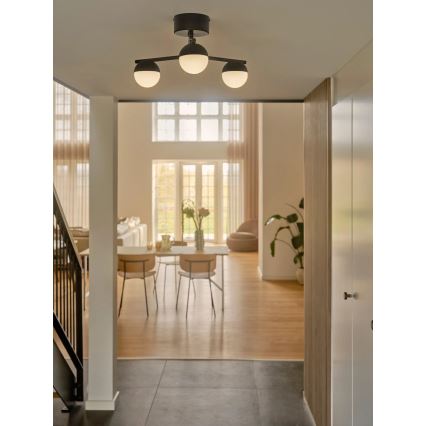 Nordlux - Żyrandol natynkowy CONTINA 3xG9/5W/230V czarny