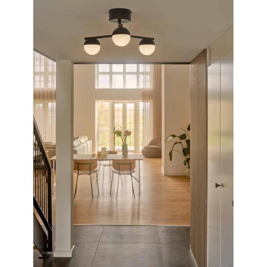 Nordlux - Żyrandol natynkowy CONTINA 3xG9/5W/230V czarny