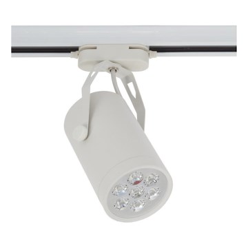 Nowodvorski 5948 - LED reflektor STORE LED SMD/7W/230V