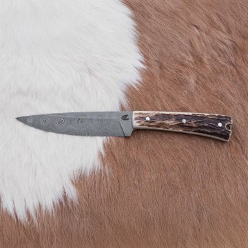 Nóż myśliwski do dobijania 12 cm poroże jelenia