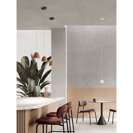 Ondaluce - Żyrandol na lince CONCRETE 1xGU10/7,5W/230V śr. 10,5 cm beton biały