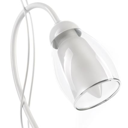 ONLI - Lampa stołowa ANTEA 1xE14/6W/230V