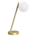 ONLI - Lampa stołowa PALOMA 1xG9/10W/230V 38,5 cm złoty