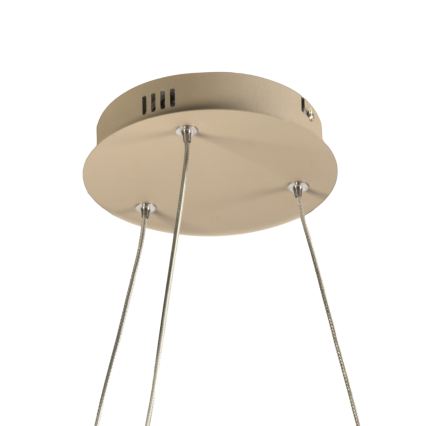 ONLI - LED Lampa wisząca na lince MATISSE LED/40W/230V beżowy