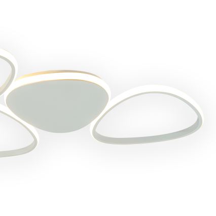ONLI - LED Plafon ROMEO LED/48W/230V 4000K biały