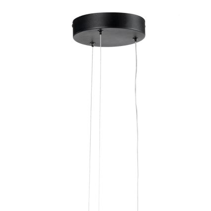 ONLI - LED Żyrandol na lince DAFNE LED/30W/230W 4000K czarny