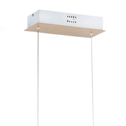 ONLI - LED Żyrandol na lince NILO LED/70W/230V 4000K brązowy/biały