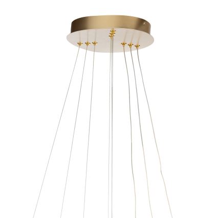 ONLI - Żyrandol LED na lince NOELIA LED/40W/230V złoty