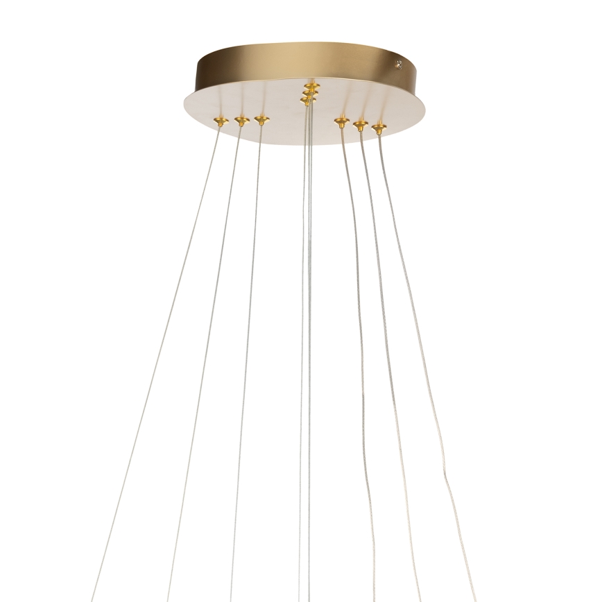 ONLI - Żyrandol LED na lince NOELIA LED/40W/230V złoty