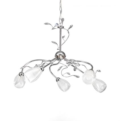 ONLI - Żyrandol na łańcuchu SHARON 5xE14/6W/230V