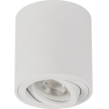 Oprawa punktowa BORD ONE 1xGU10/10W/230V biała