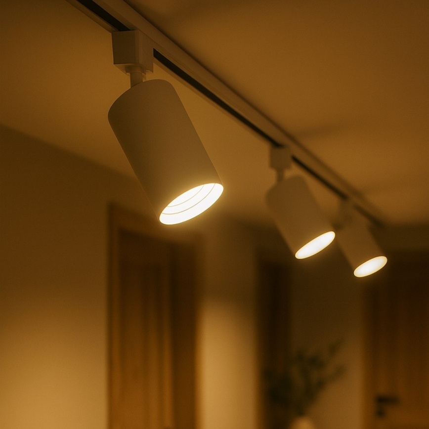 Oprawa punktowa do jednofazowego systemu szynowego TIGER 1xGU10/10W/230V biała