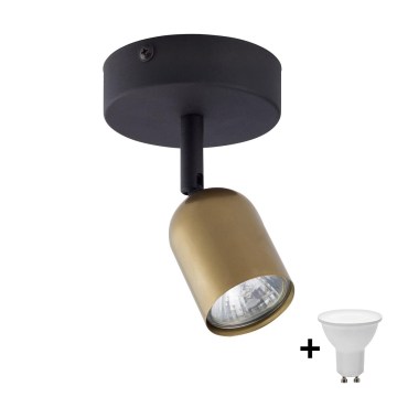 Oprawa punktowa LED TOP 1xGU10/10W/230V złota/czarna