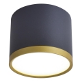 Oprawa punktowa LED TUBA LED/9W/230V czarna/złota