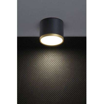 Oprawa punktowa LED TUBA LED/9W/230V czarna/złota