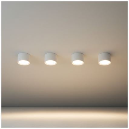 Oprawa punktowa OH12S 1xGX53/35W/230V 5 cm biała