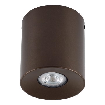 Oprawa punktowa ORION 1xGU10/10W/230V 12,5 cm brązowa