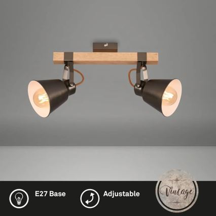 Oprawa punktowa RETRO 2xE27/40W/230V brązowa