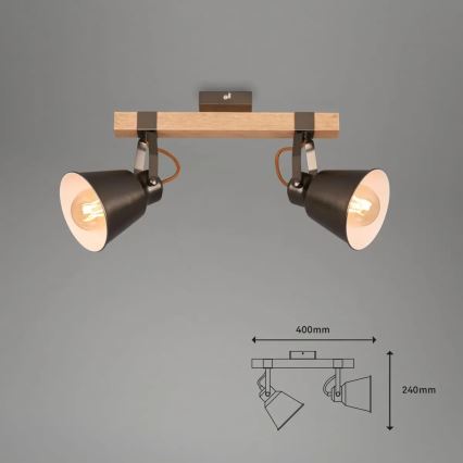 Oprawa punktowa RETRO 2xE27/40W/230V brązowa