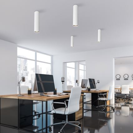 Oprawa punktowa TUNE L 1xGU10/10W/230V 24 cm biała