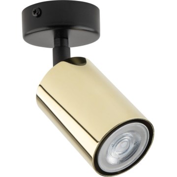 Oprawa punktowa ZOOM 1xGU10/10W/230V mosiądz/czarny
