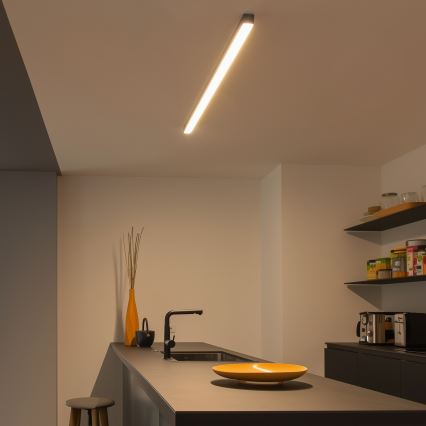 Lampa sufitowa LED ALLDAY BASIC LED/20/30/40W/230V 2700/4000/6000K 120 cm czarna