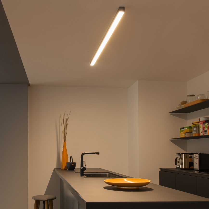 Lampa sufitowa LED ALLDAY BASIC LED/20/30/40W/230V 2700/4000/6000K 120 cm czarna