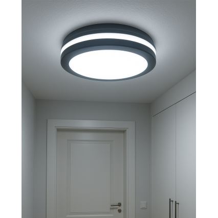 Oprawa sufitowa LED z czujnikiem ruchu LED/20W/230V 3000/4000/6500K Ø 230 cm IP54 antracyt