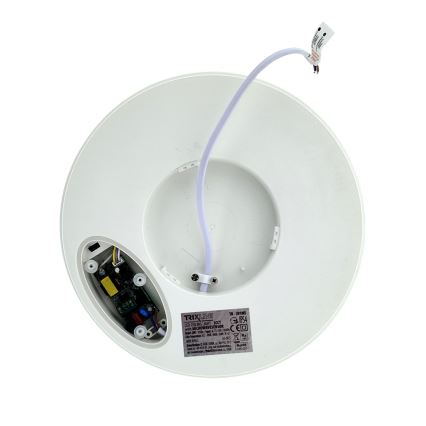 Oprawa sufitowa LED z czujnikiem ruchu LED/20W/230V 3000/4000/6500K Ø 230 cm IP54 szara