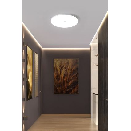 Lampa sufitowa LED z czujnikiem zmierzchu i ruchu MORETTI LED/24W/230V śr. 30 cm IP40 6500K