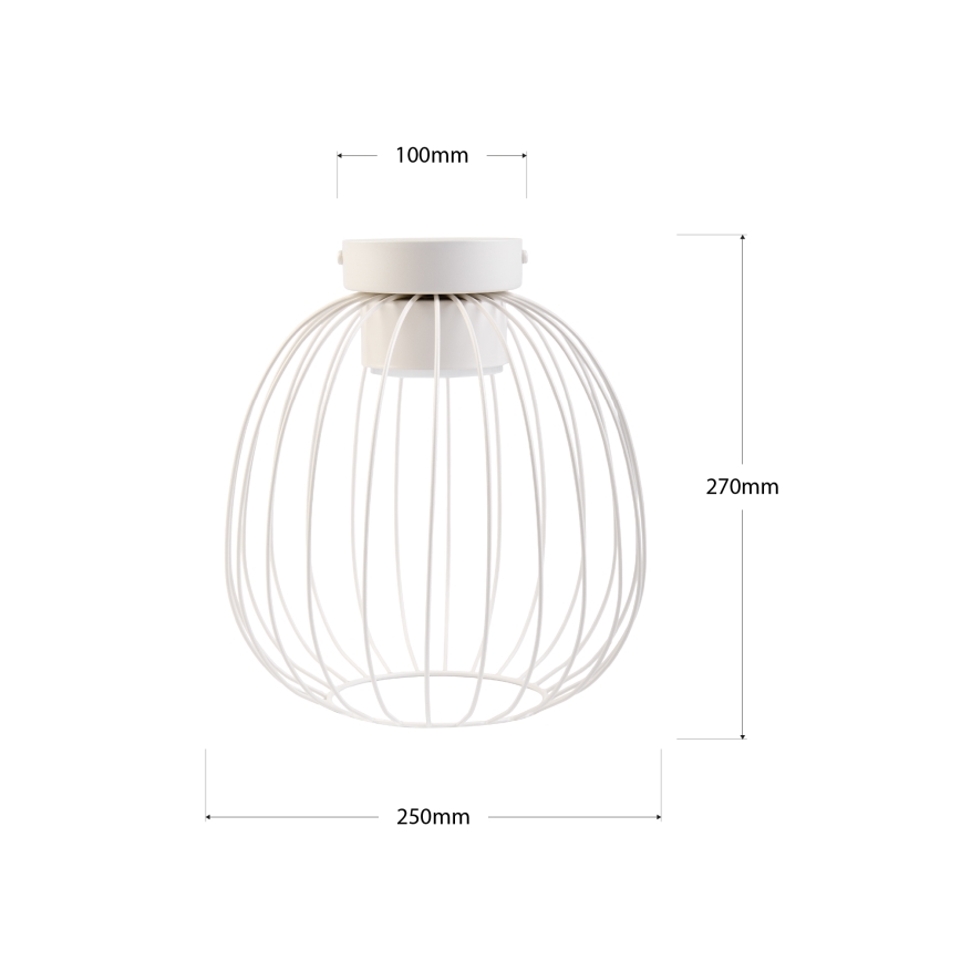 Oprawa sufitowa OVELLA 1xGX53/10W/230V Ø 25 cm kremowa