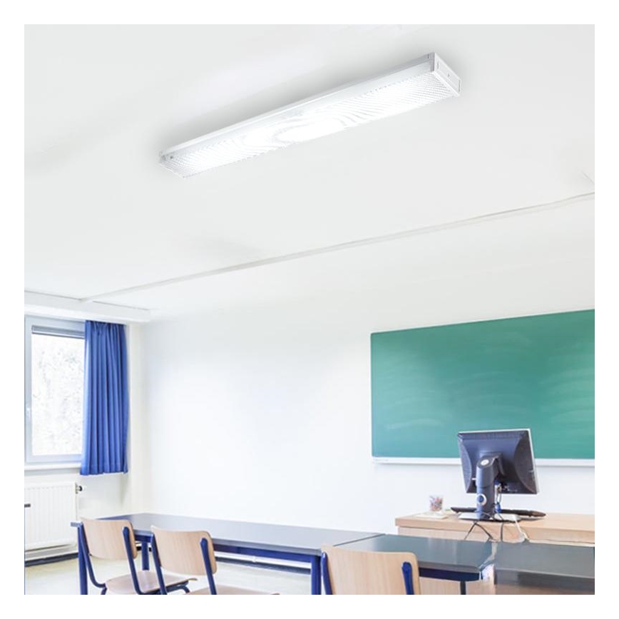 Oprawa świetlówkowa T8 2xG13/18W/230V 124 cm