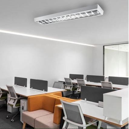 Oprawa świetlówkowa T8 2xG13/18W/230V 120 cm biała