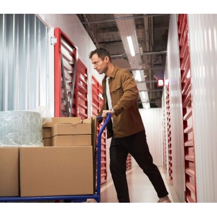 Oprawa świetlówkowa T8 DELFIA 2xG13/18W/230V 124 cm biała