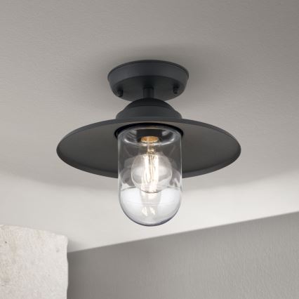 Zewnętrzny przysufitowy żyrandol EDWARD 1xE27/60W/230V IP44 antracyt