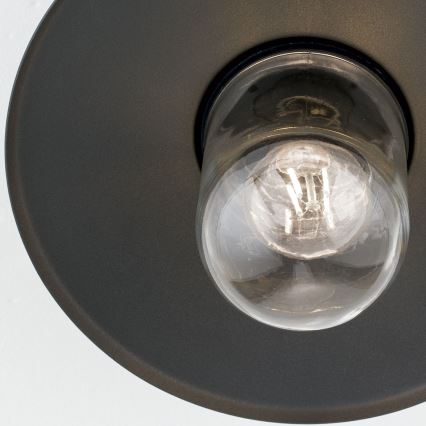 Zewnętrzny przysufitowy żyrandol EDWARD 1xE27/60W/230V IP44 antracyt