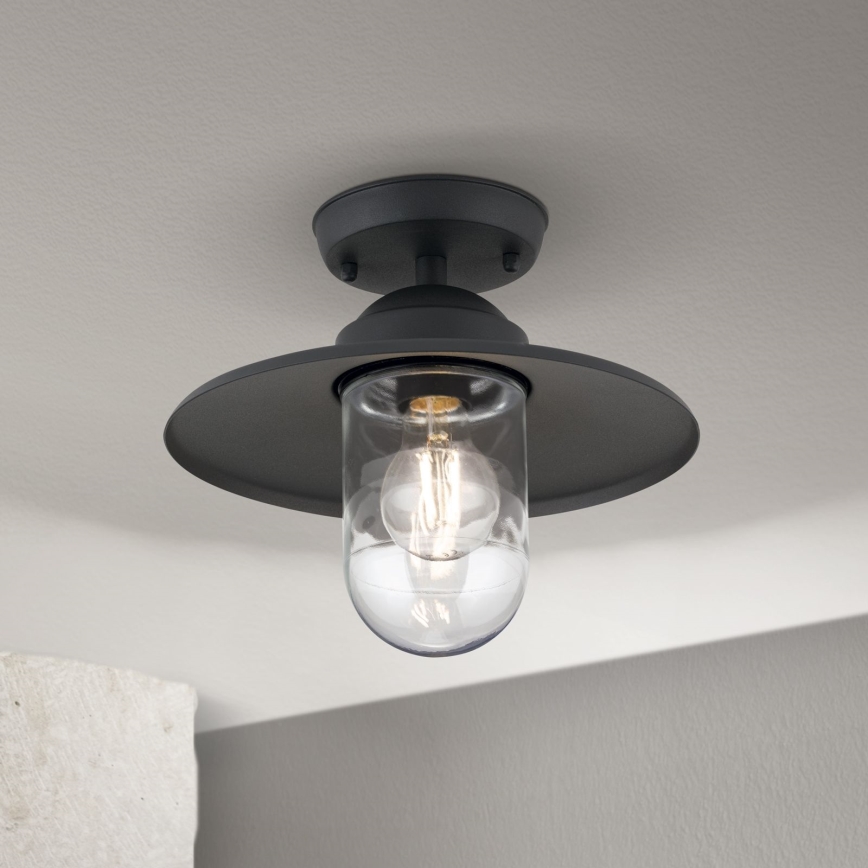 Zewnętrzny żyrandol EDWARD 1xE27/60W/230V IP44 czarny