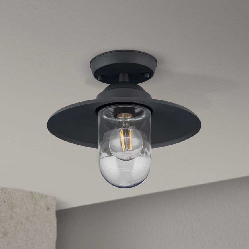 Zewnętrzny żyrandol EDWARD 1xE27/60W/230V IP44 czarny