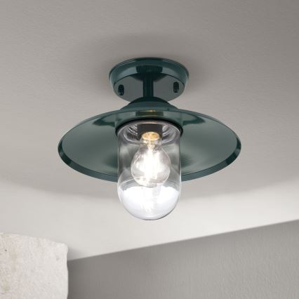 Zewnętrzny żyrandol EDWARD 1xE27/60W/230V IP44 zielony