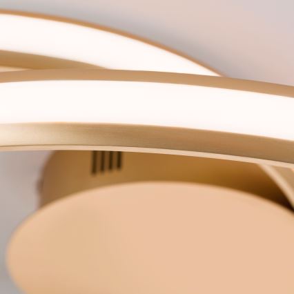 LED Regulowane oświetlenie sufitowe CIRCUS LED/30W/230V złote