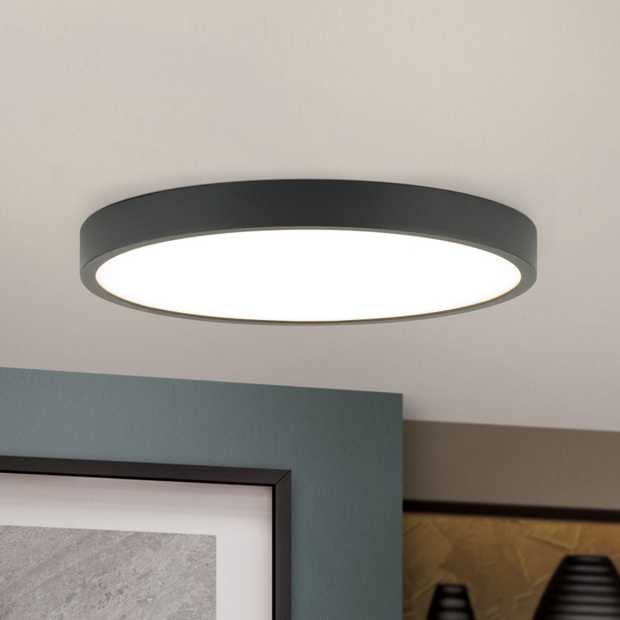 LED Plafon BULLY LED/24W/230V śr. 24 cm czarny