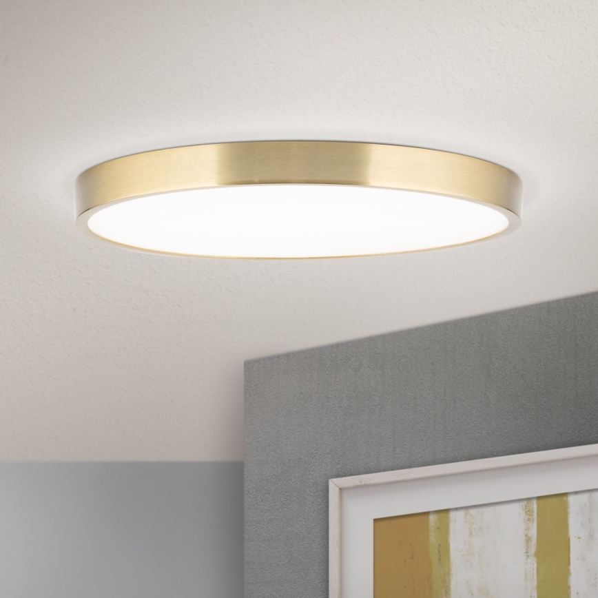 LED Plafon BULLY LED/28W/230V śr. 28 cm zl.