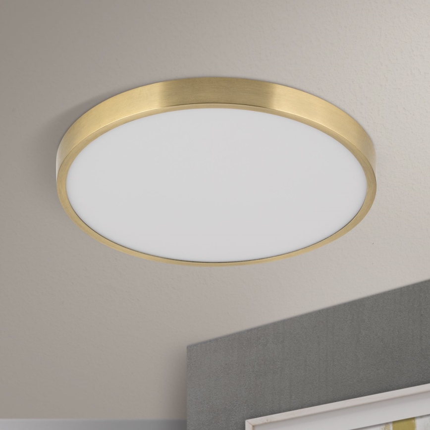 LED Plafon BULLY LED/28W/230V śr. 28 cm zl.