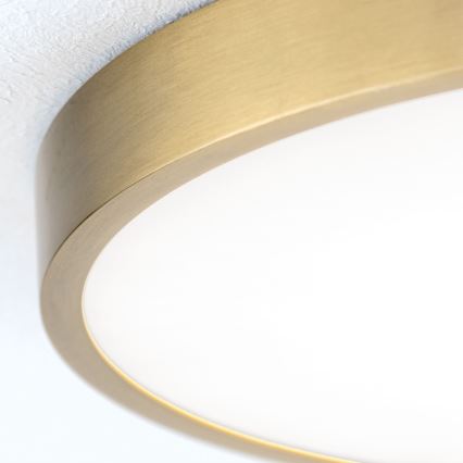 LED Plafon BULLY LED/28W/230V śr. 28 cm zl.