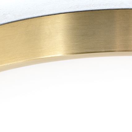 LED Plafon BULLY LED/28W/230V śr. 28 cm zl.