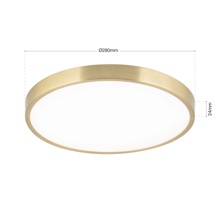 LED Plafon BULLY LED/28W/230V śr. 28 cm zl.