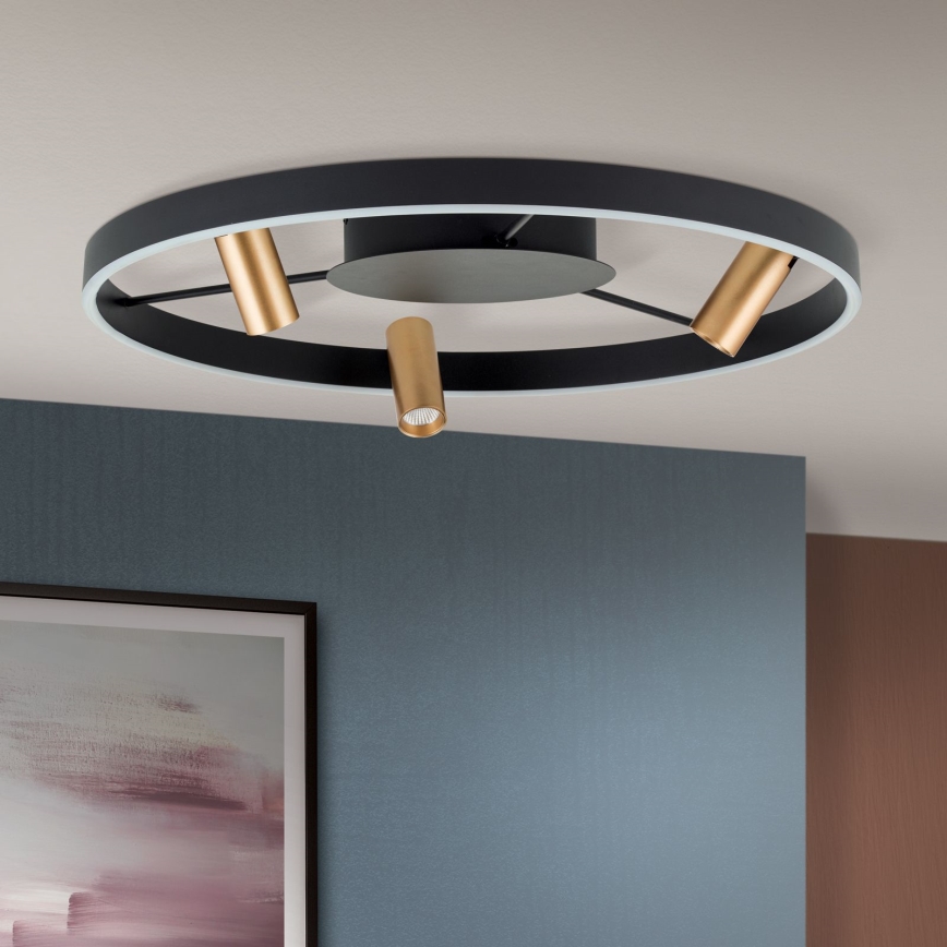 LED Plafon ściemnialny BERLIN LED/50W/230V czarny/złoty