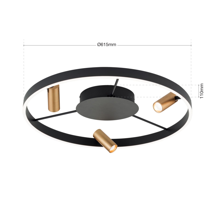 LED Plafon ściemnialny BERLIN LED/50W/230V czarny/złoty